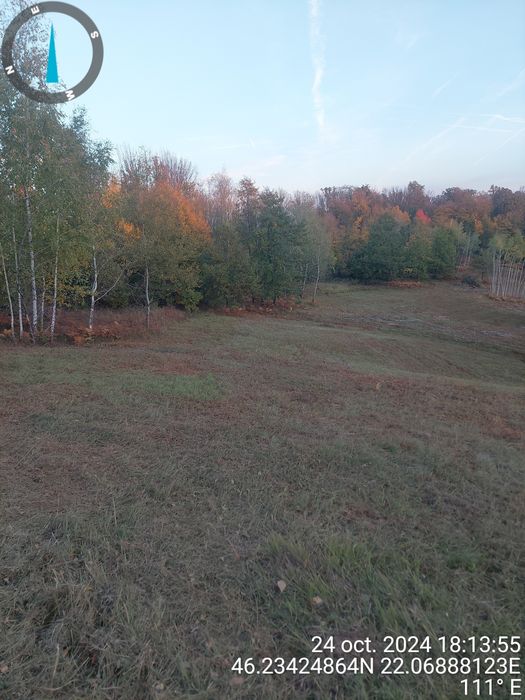 Vând 2.9 ha teren chisindia sat vasoaia/pret pe hectar