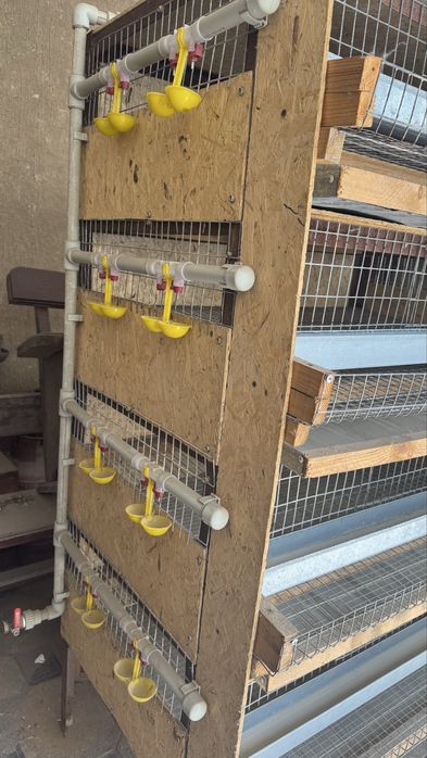 Клетка для Перепелок