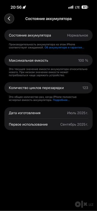 Apple  17 pro max