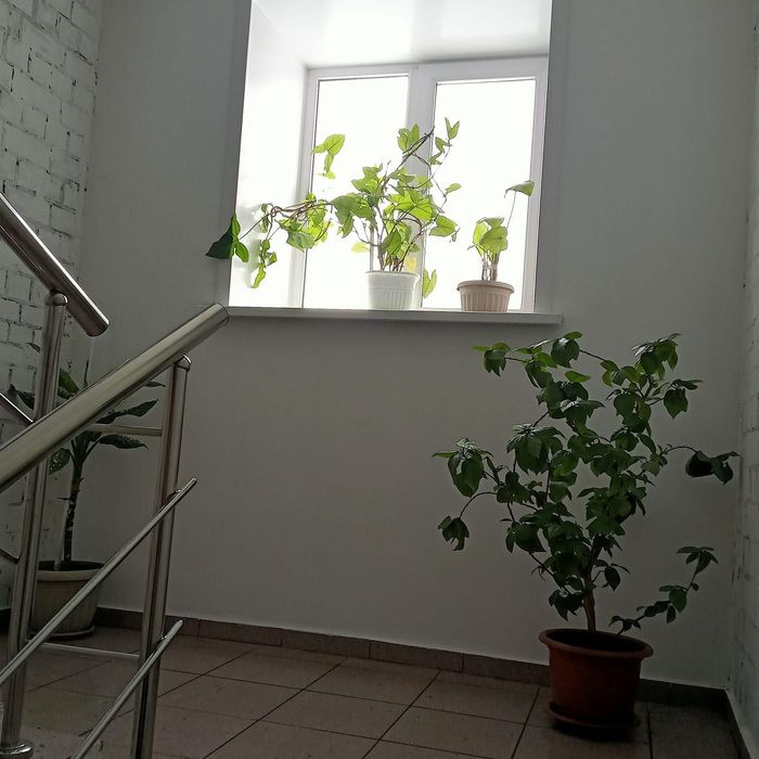 Сдается койка место