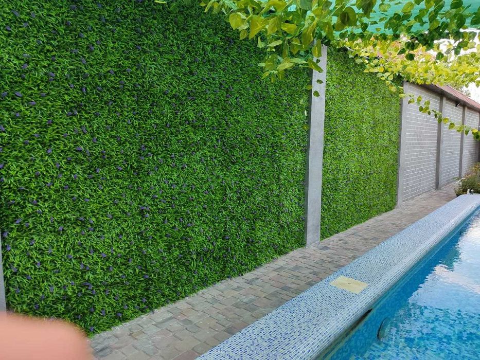 Фитостена озеленение,