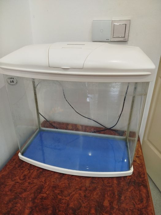 Аквариум для любых водных жителей