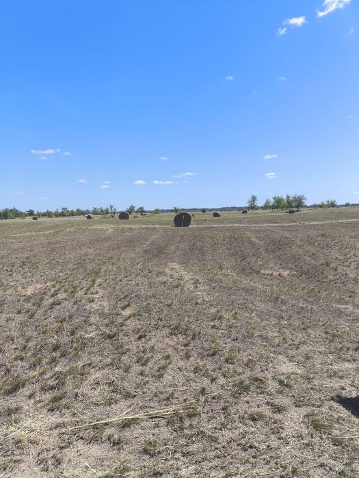 Продам сено в рулонах