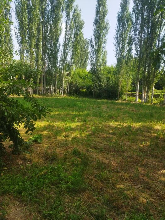 Er sotiladi 8 sot Boʻstonliq tumanida yangi oʻul mxalasida