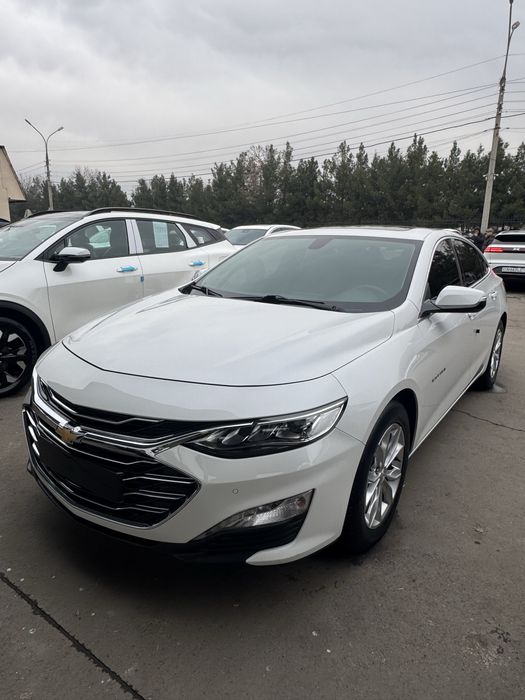 Malibu2 Turbo 2019/20