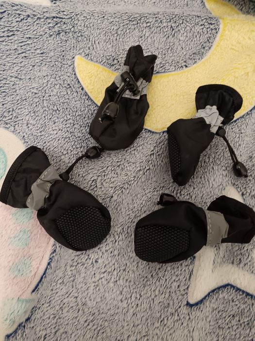 Ботиночки для собак