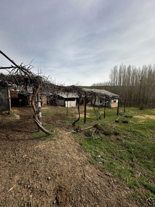 4 xona yashash uchun 4 xona tovuq juja va bol qoy boqsa buladigan joy