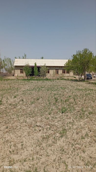 Участка жондор туманда