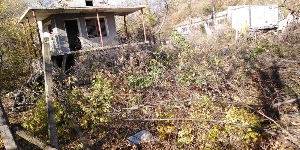 Кастрене и рязане на високи и опасни дървета Варна