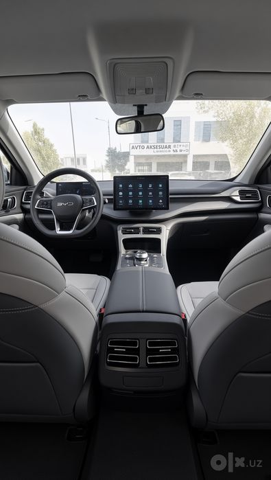 BYD CHAZOR DM-1 1chi pazitsa 2024 va 2025
