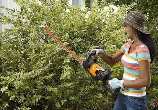 Аренда Инструментов аренда кусторез разных видов режим работы 24/7