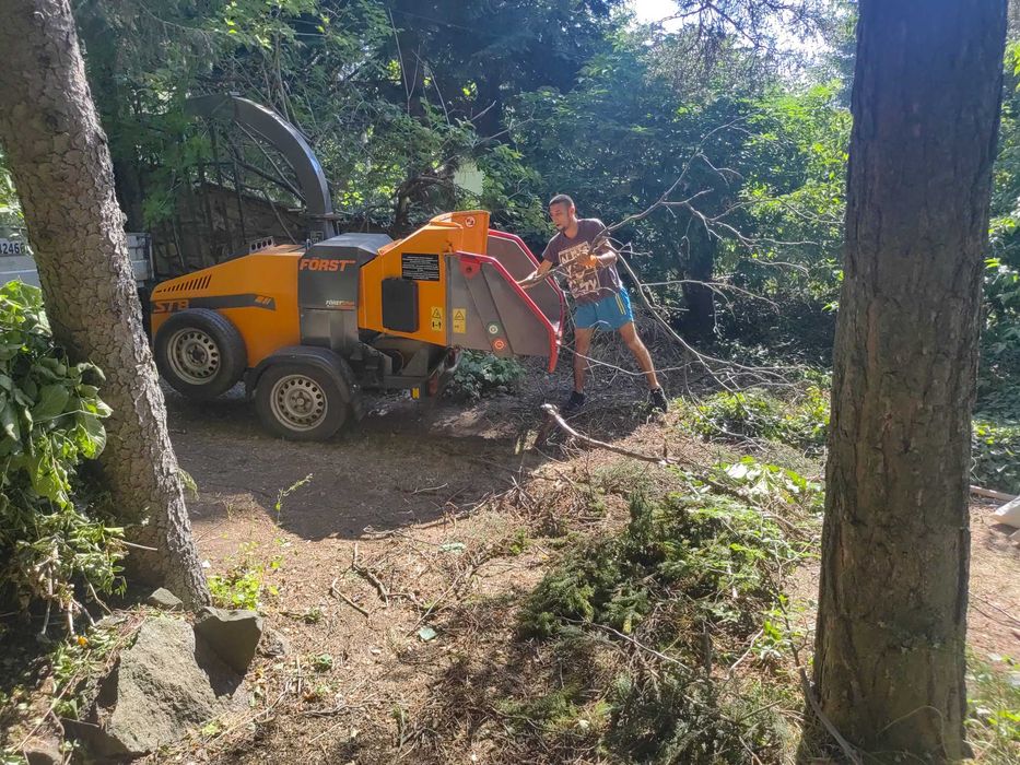 Дробилка за клони. Почистване на запустели терени и дворове