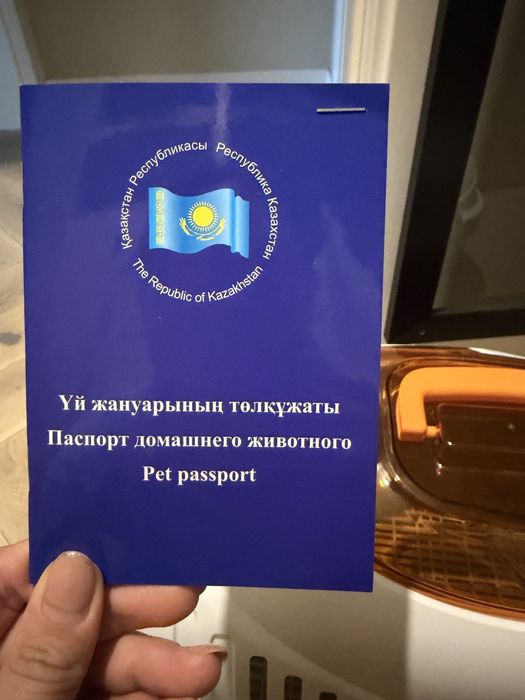Домашняя кошка, вакцинирована