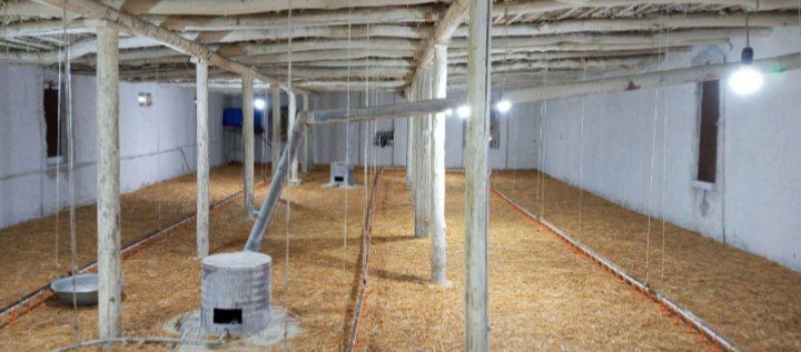 Uy-joy, tovuqxona sotiladi 5.5 sotix hamma sharoitlari bor tovuqboqish