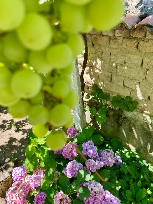 Продава се Къща в Пловдив, Кършияка - 70 кв.м за 429 €/кв.м - Снимка #9