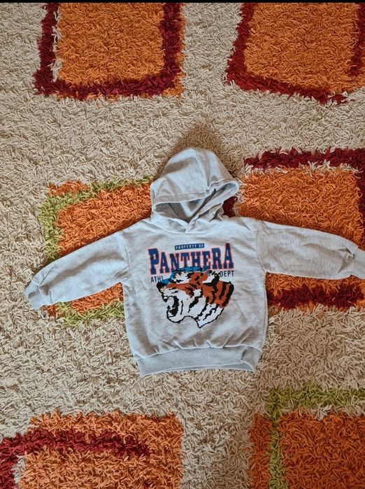 Lot 2 hanorace cu gluga, marimea 104