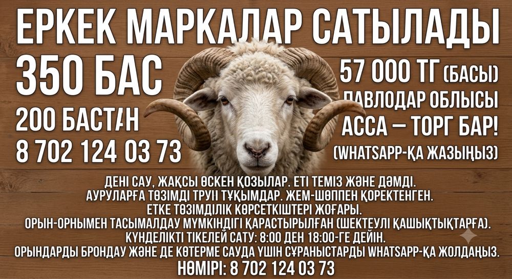 Еркек марқалар сатылады – 350 бас!