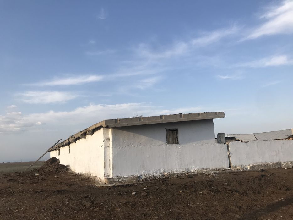 Кора, фазенда, бордах