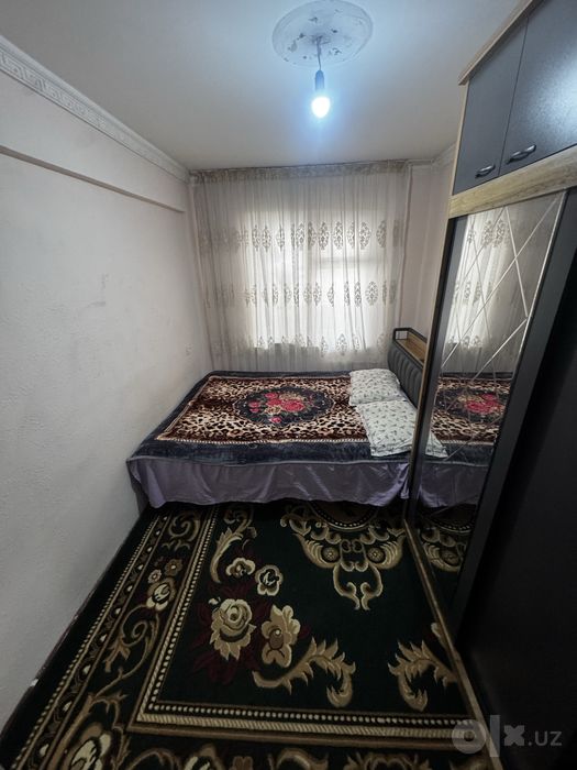 Shoshilinch Qoraqamish 1/2 2/4/5 62500$