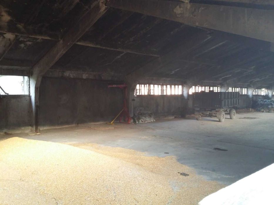 Продава се Склад в с. Нова Черна, Област Силистра - 975 кв.м за 105 €/кв.м - Снимка #6