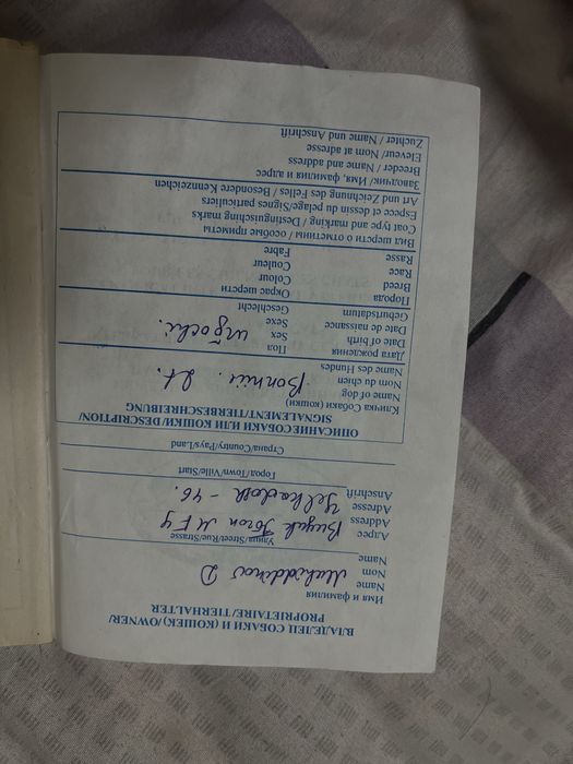 щенки немецкой овчарки, документы имеються