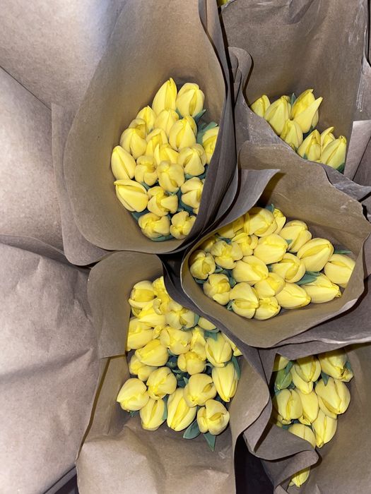 Тюльпаны гиганты 2026