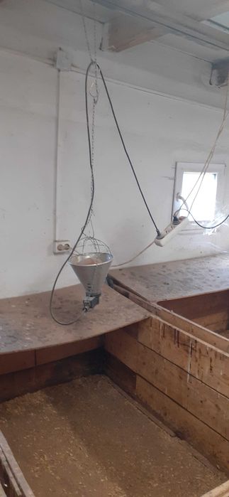 Vând lăzi pentru creșterea puilor.