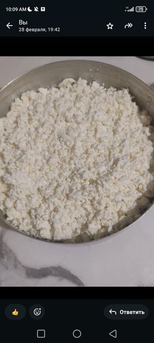 Продам  коспа свежий