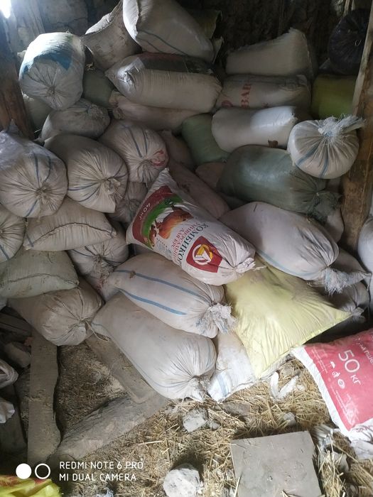 Деревянные апилка сухой