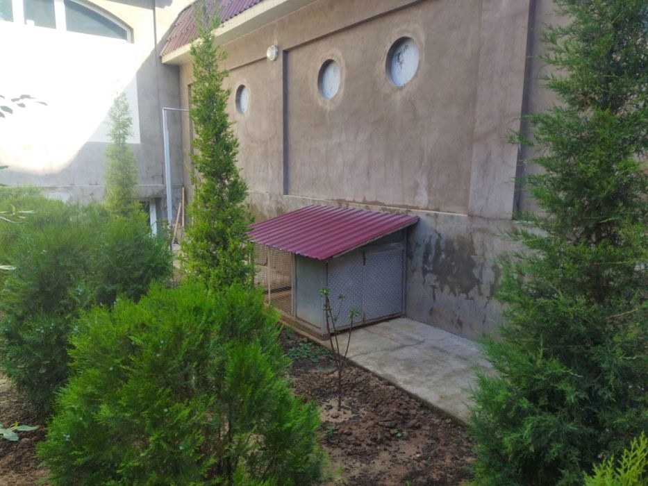 Вальер для собак