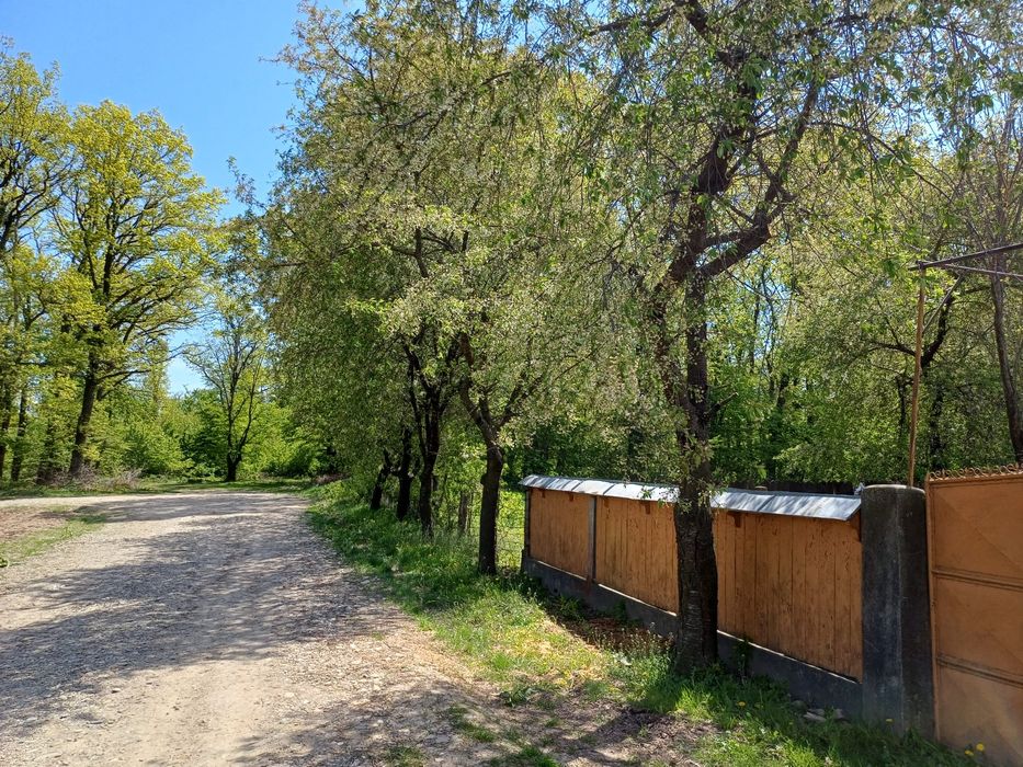 Vand casa parinteasca