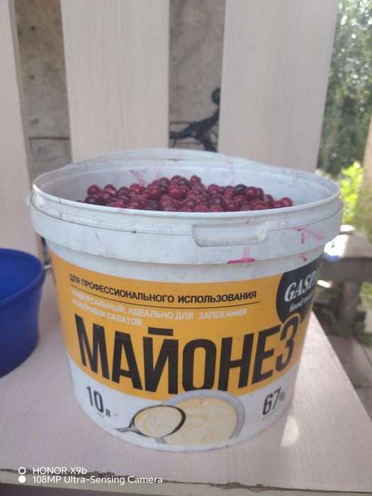 Вишня 10 лт ведро