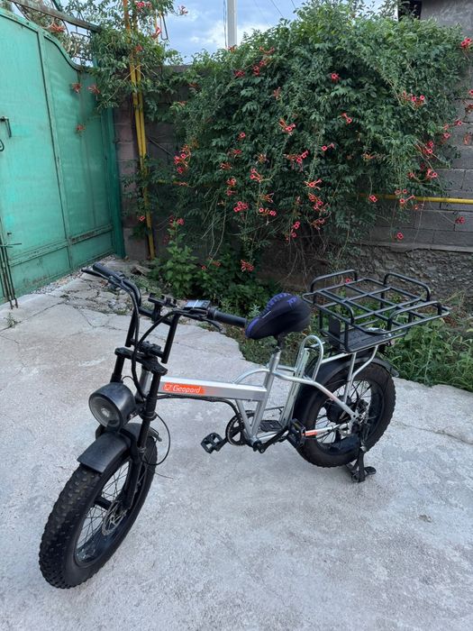 Электровелосипед Geopard
