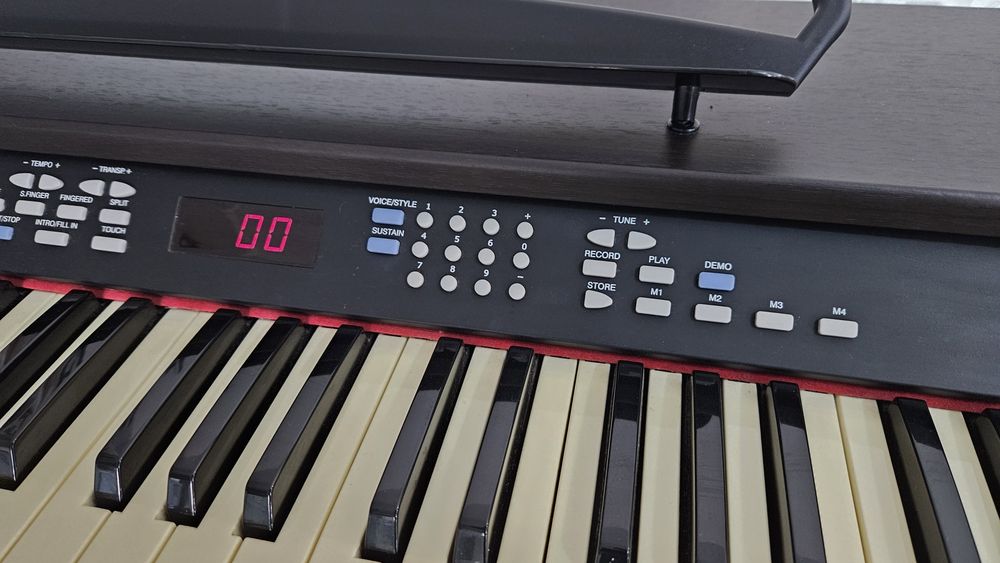 Vand Pian cu aranjor Delson NP10