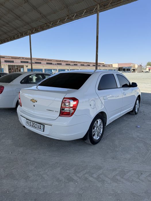 Other Cobalt 2024 — 4