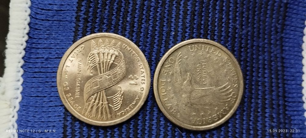 1 железный доллар Америки