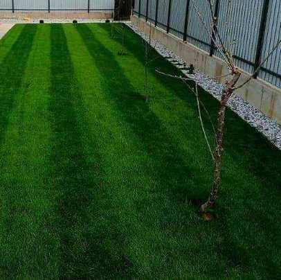 Gazon Rulou, Sisteme de irigare