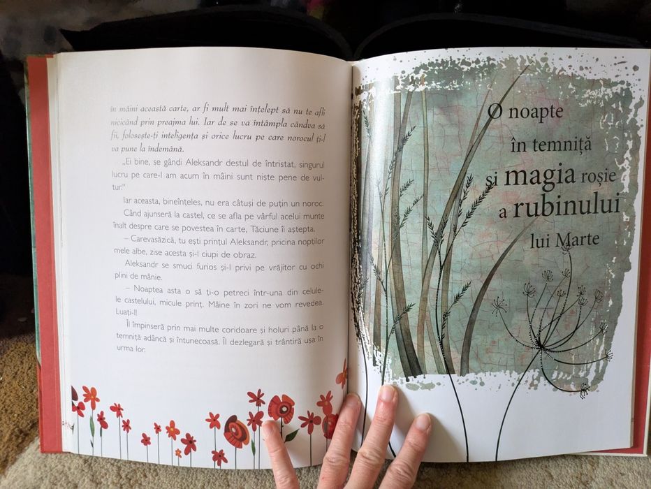 Enigma din padurea nestematelor