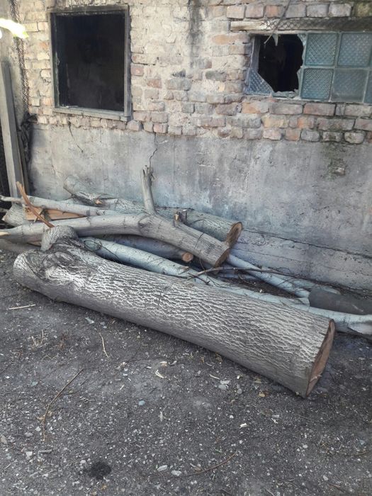 Продам дерево орех на спил