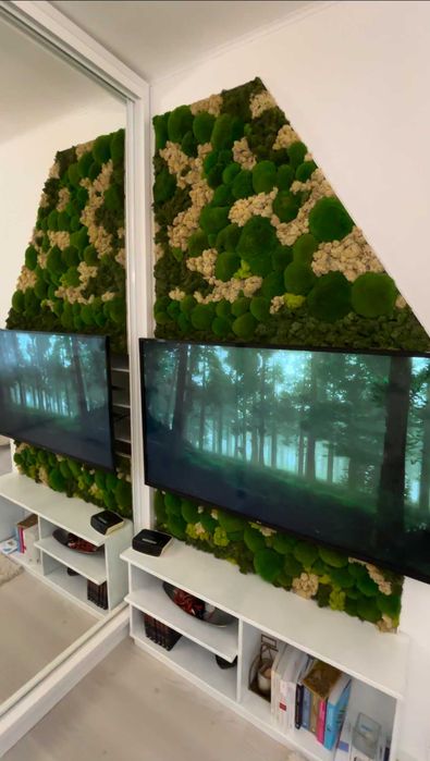 Designuri cu Licheni si muschi decorativi la comanda