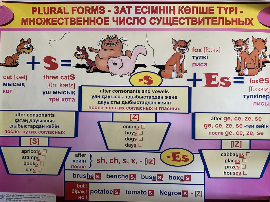 Учебные иллюстративные плакаты