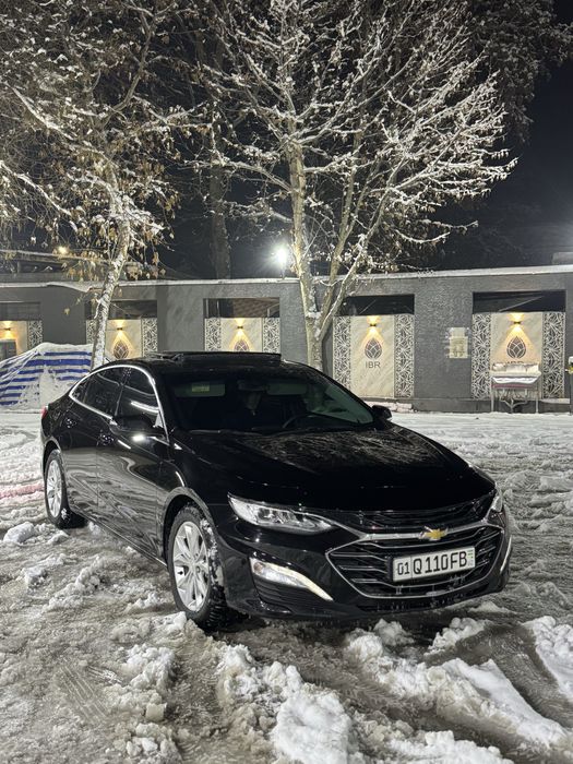 Malibu primer 2020 yil