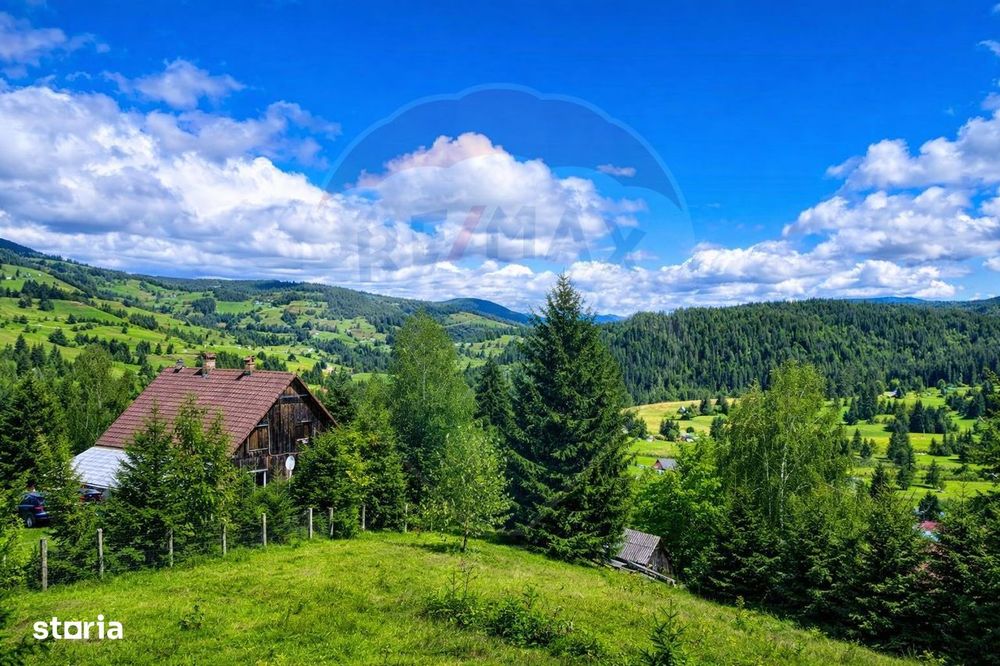 Teren de vanzare în inima Apusenilor – 6.500 mp Arieșeni