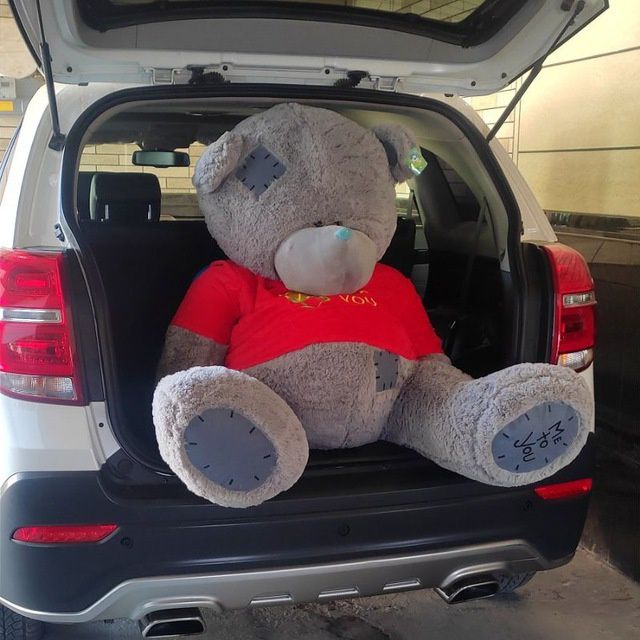 Ayiq-teddi_bear (75sm-3metrgacha) Hasanboyda
