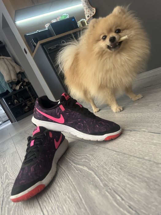 Маратонки Nike Flex Experience RN 5