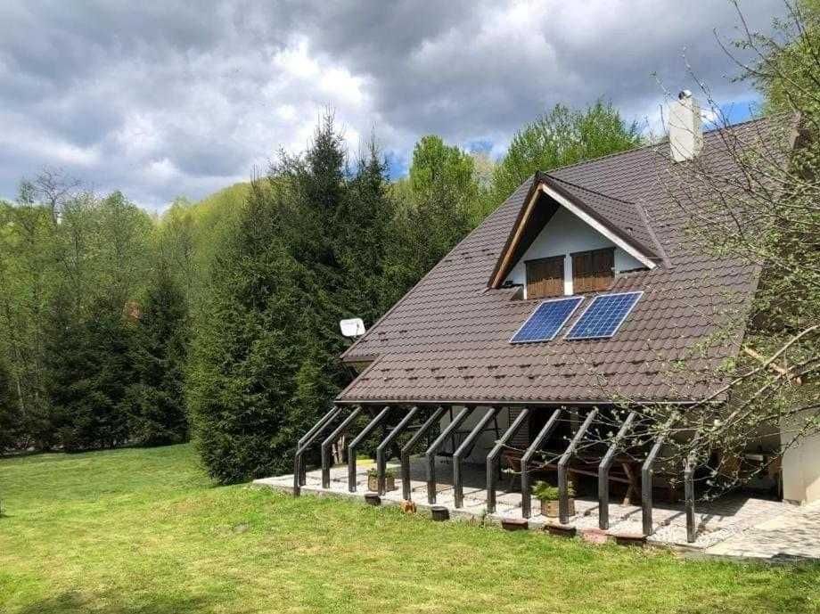 Cabana Praid...Forest House