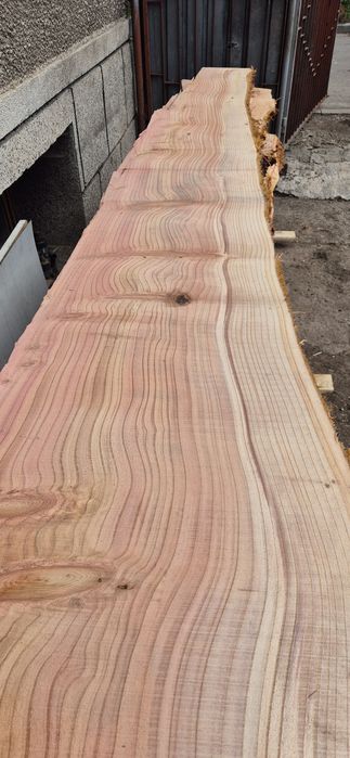 Янове от секвоя 3.30дължина СУХИ