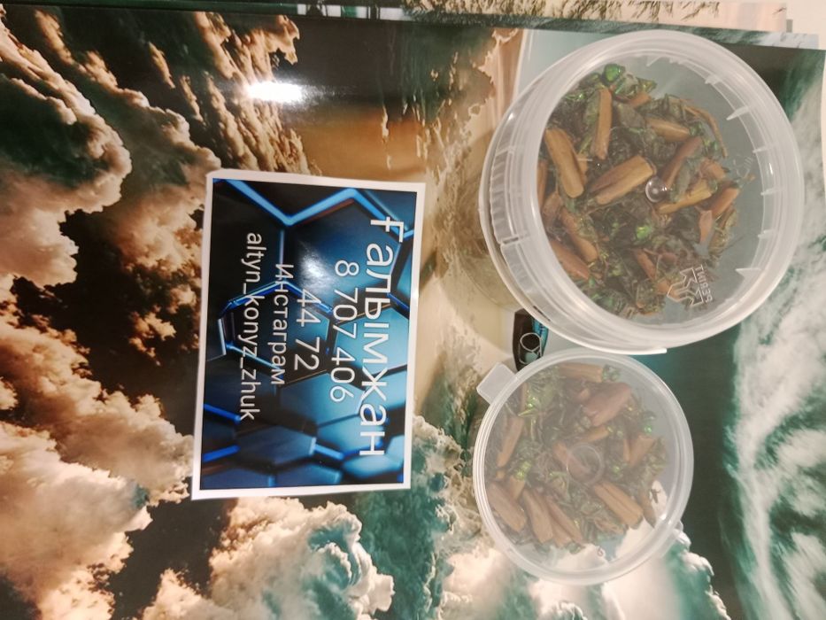 Алтын коныз Майский жук Золотой жук емдык Простотитке