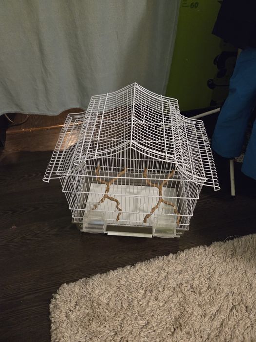 Colivie pentru păsări