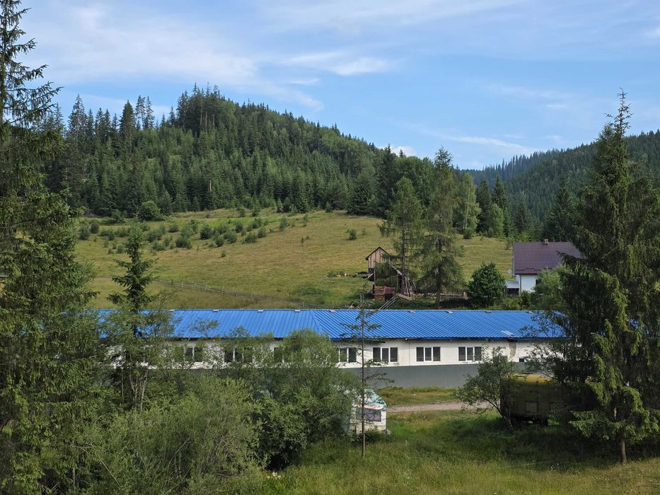 Urgent!! Oportunitate rara - Ferma de vaci, com Breaza, Suceava